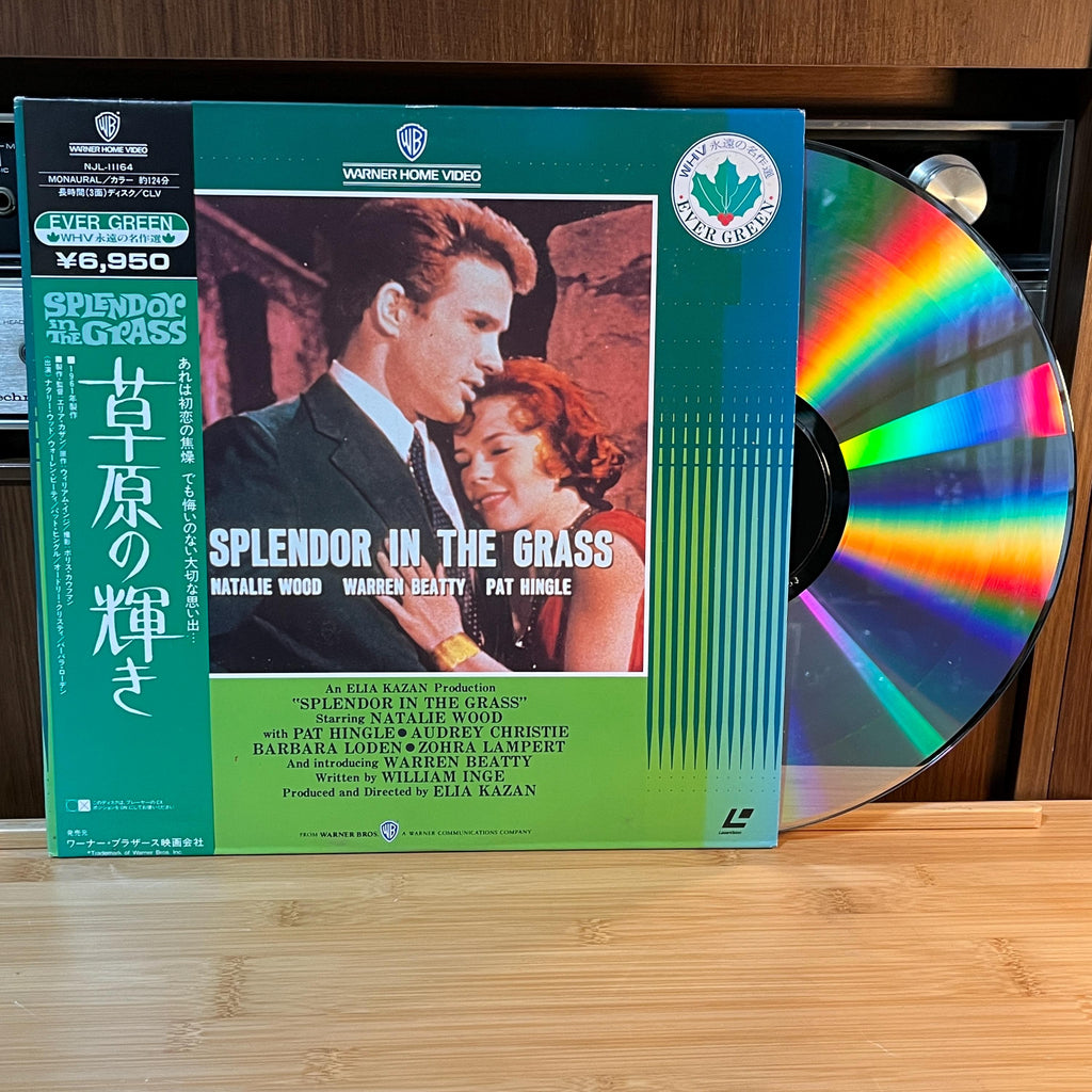 Splendor in the Grass LaserDisc | Japan Release | English Audio Japanese Subtitles | Cover & Insert