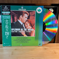 Splendor in the Grass LaserDisc | Japan Release | English Audio Japanese Subtitles | Cover & Insert