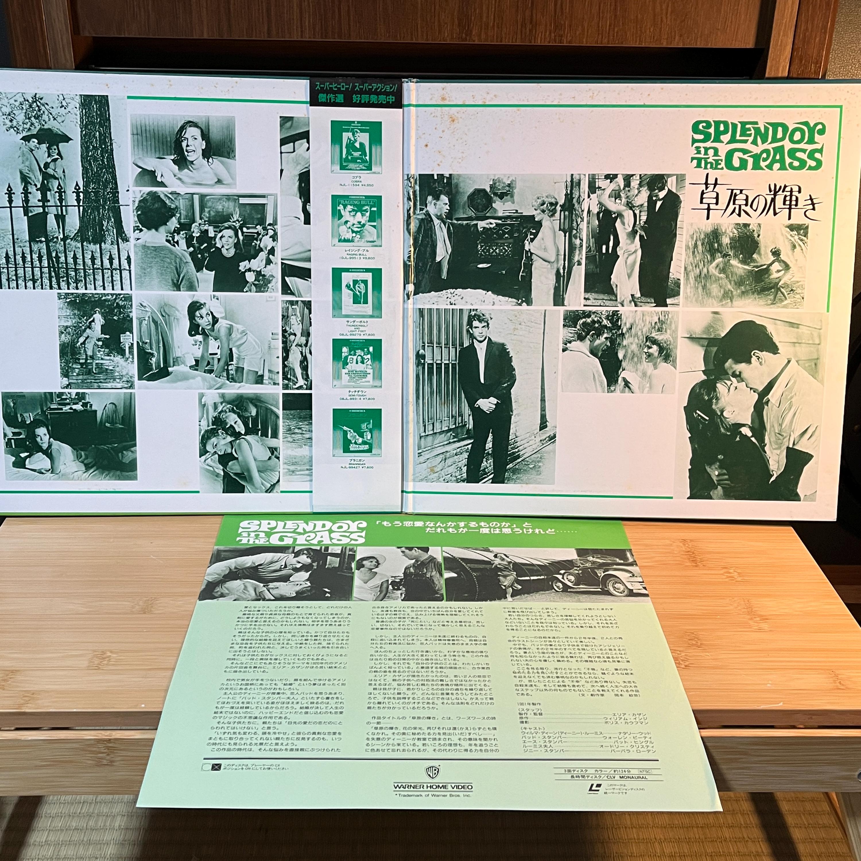Splendor in the Grass LaserDisc | Japan Release | English Audio Japanese Subtitles | Cover & Insert
