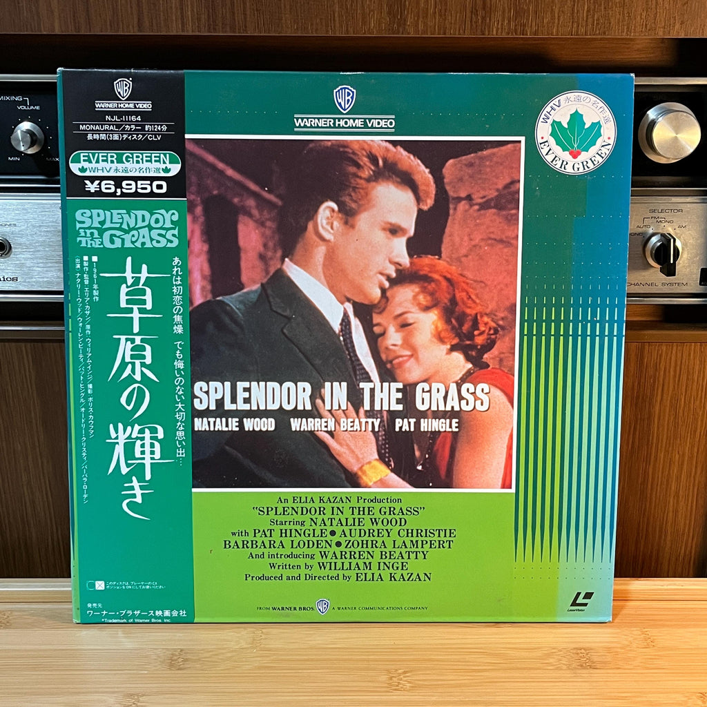 Splendor in the Grass LaserDisc | Japan Release | English Audio Japanese Subtitles | Cover & Insert