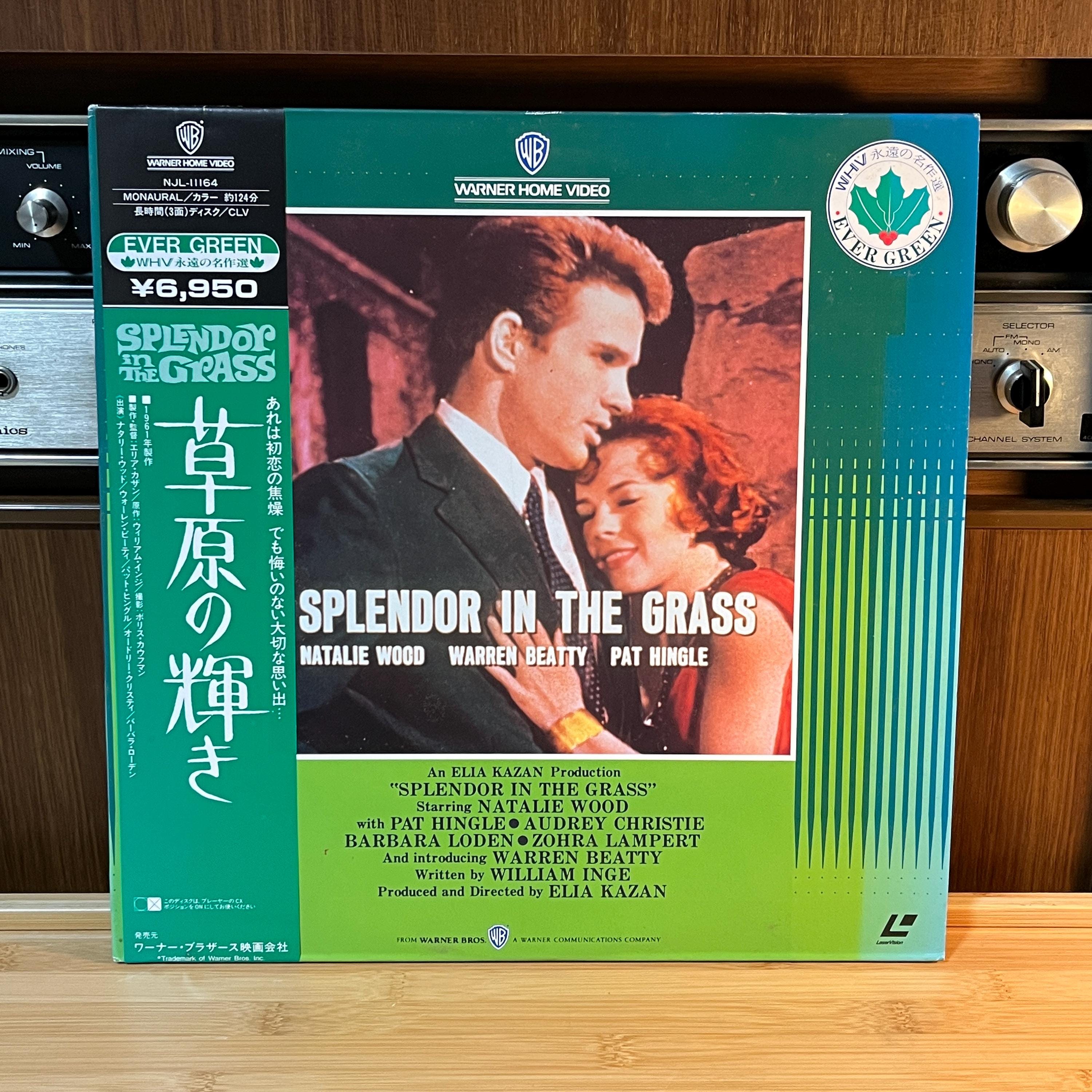 Splendor in the Grass LaserDisc | Japan Release | English Audio Japanese Subtitles | Cover & Insert